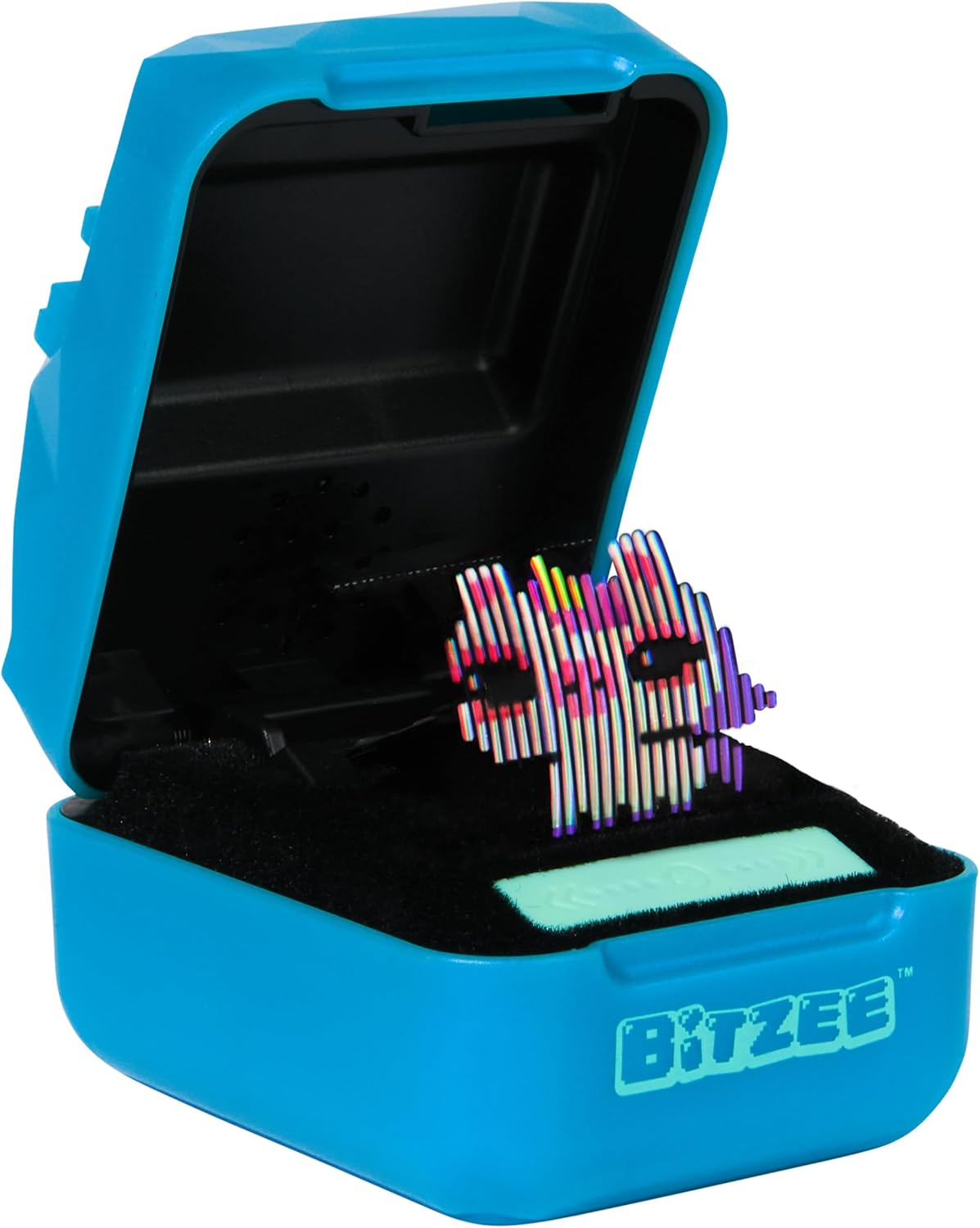Interactive Digital Pet