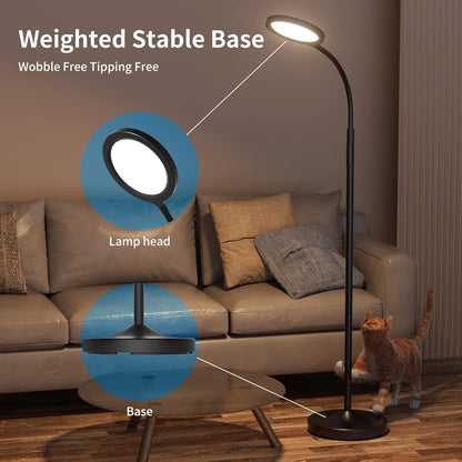 Modern LED Floor Lamp with Remote